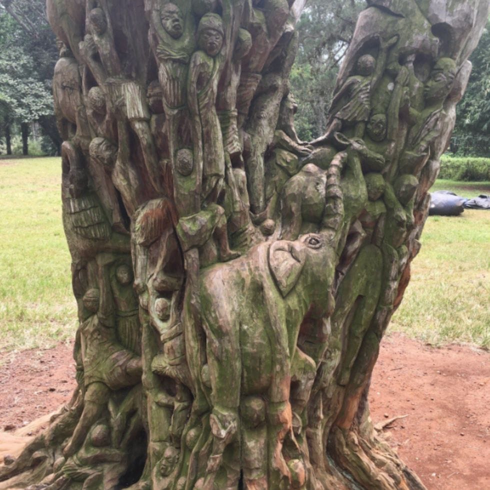botanical gardens Tree of life. Travel to Ghana. Traveling to Ghana. Culture Trips.